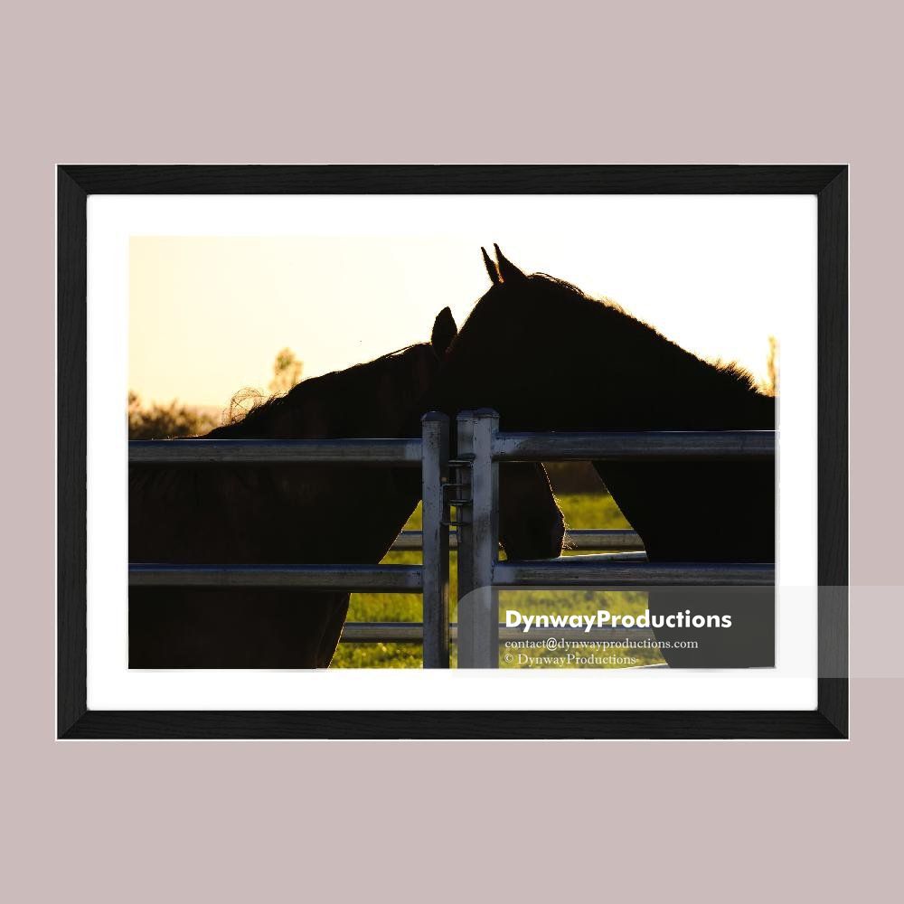 Better together, Horses